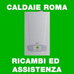CALDAIE-ROMA-SIAMO-NOI-I-PROFESSIONISTI-150x150